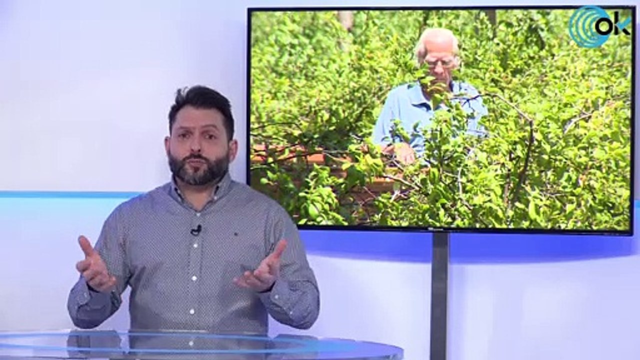 Money Talks | España recibe bofetadas por las pensiones y el Gobierno tocando la lira