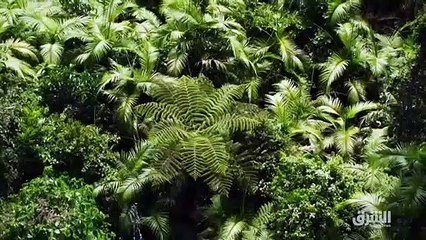 ...الى اصلاح فضاء شنغن على أساس أولويتين ال...