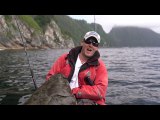 Massive Halibut Caught by Kayak Angler in Alaska