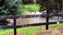 Heavy rainfall and flash flooding for NSW south coast
