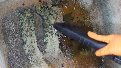 How 6 years of mold in a car is deep cleaned