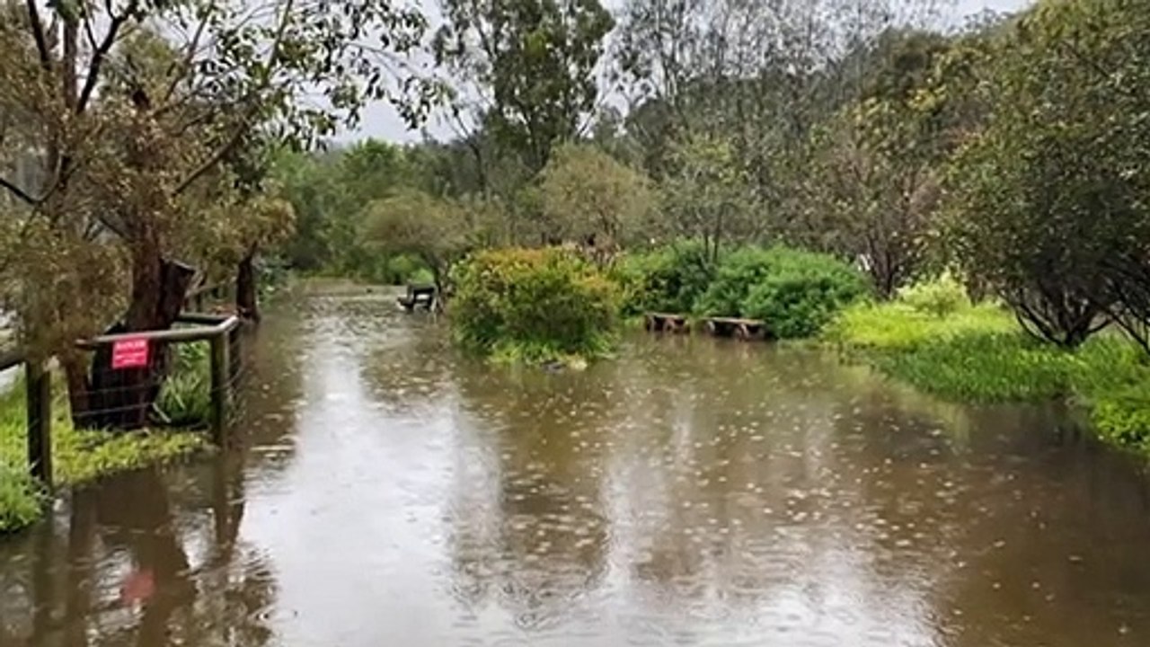 Several properties on NSW's south coast inundated by floodwaters