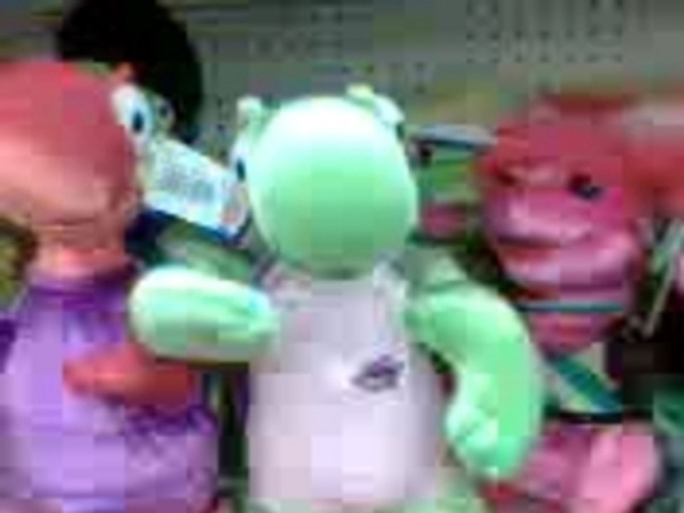 Conçert tortues