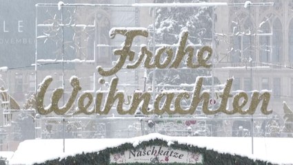 Snow brings cheer to Vienna during lockdown