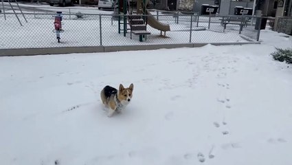 Snow touches down on the Northwest