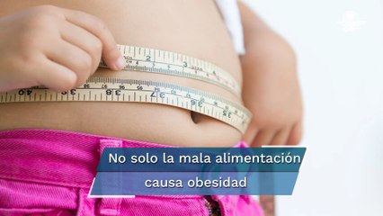 Afecta obesidad a 8 de cada 10 mexicanos: UNAM