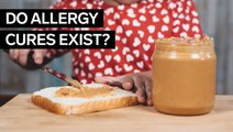 Allergists debunk 11 food allergy myths