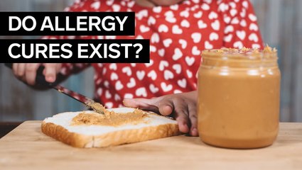Allergists debunk 11 food allergy myths