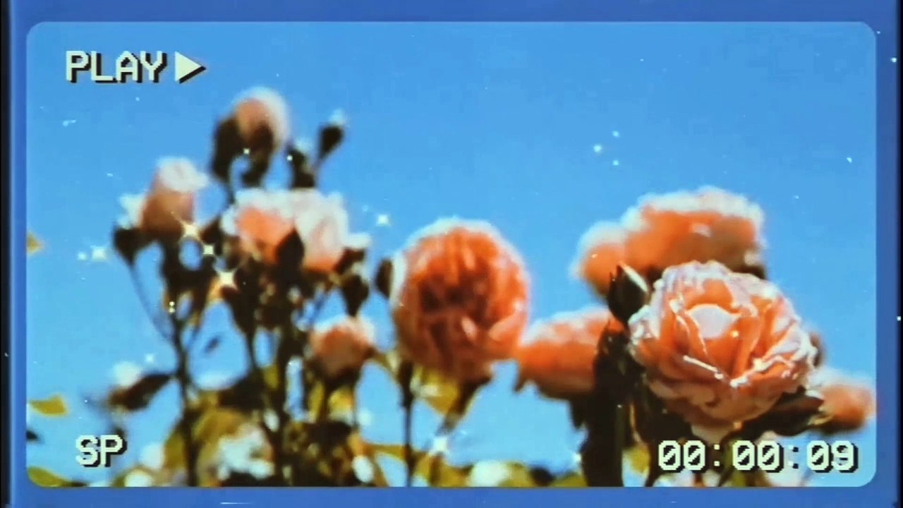 NATURA | SHIRAS - EKOS CASTAÑA - EKOS ACAI - TODODIA DURAZNO Y FLOR DE PERA - LUNA ABSOLUTA