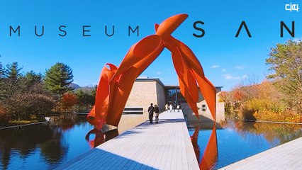 랜선여행 뮤지엄 산(Museum SAN) / 디따