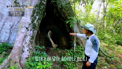 세계테마기행 - 알수록 신기한 지구- 시크릿 가든, 지구_#003