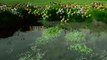 Agir pour la ressource en eau : Reflets convergents (DREAL Pays de la Loire)