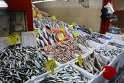 Mevsim balıklarının fiyatı 10 TL ile 30 TL arasında değişiyor