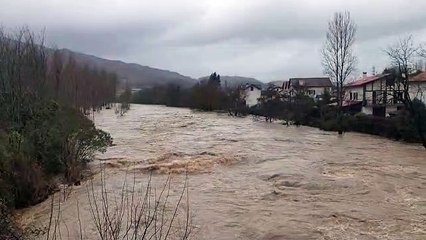 La Nive à Saint-Martin d'Arrossa ce jeudi 10 décembre