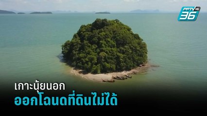 กมธ.ที่ดิน ชี้ชัด "เกาะนุ้ยนอก" ออกโฉนดไม่ได้ เป็นที่สาธารณะ เชื่อมี จนท. รัฐเอี่ยว | เข้มข่าวค่ำ