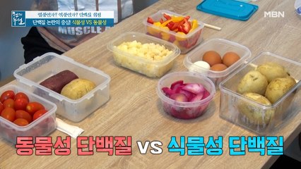동물성 vs 식물성! 어떤 단백질을 먹어야 할까?