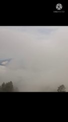 Environment vs Fogg  #environment #fog