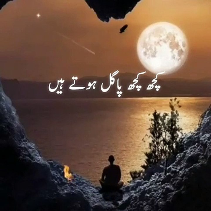 Whatsapp Status Shayari  WhatsApp status Poetry  WhatsApp status Urdu Video  BEST LINES110