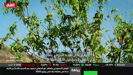 ...الورد للورد طبعا هذا لا جدال فيه ....