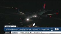 Passenger assaults flight attendant on flight to Los Angeles