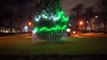 ELF AND SAFETY GONE MAD -A town's Christmas tree has been branded a 'shambles' after only its bottom half was decorated - because health and safety concerns meant it was unsafe to light the top