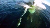 AYE AYE FLIPPER - This is the stunning moment a photographer used his GoPro to film a dolphin keeping pace with a gigantic superyacht