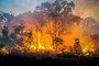 Australien: Brand im Westen, Flut im Osten