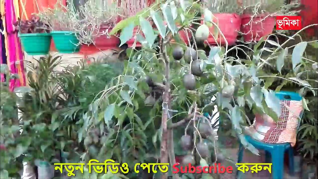 home garden ideas for small spaces |_SMALL GARDEN DESIGN IDEAS | vumika Agro | |  Vumika TV
