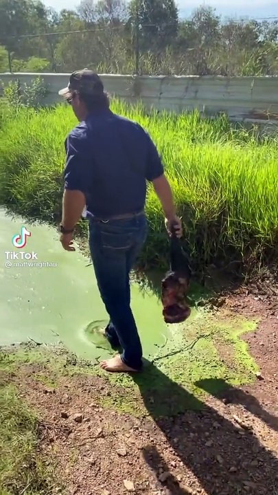 Ne mettez pas les pieds dans cette marre