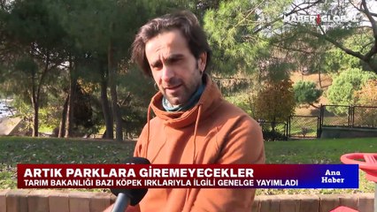 Tarım Bakanlığı bazı köpek ırklarıyla ilgili genelge yayımladı! Artık parklara giremeyecekler