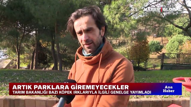 Tarım Bakanlığı bazı köpek ırklarıyla ilgili genelge yayımladı! Artık parklara giremeyecekler