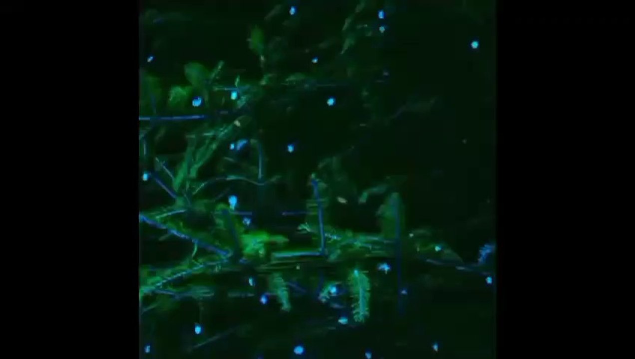 Happy Merry Christmas 2021 part 2 | Merry Christmas 