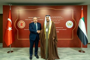 TBMM Başkanı Şentop, BAE Federal Ulusal Konsey Başkanı ile bir araya geldi