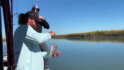 Bubba Fishing Rod Introduction