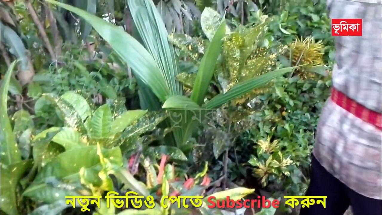 চলুন ঘুরে দেখি বৃক্ষমেলা | National tree fair bangladesh | tree fair | Agriculture kishan fai  | Vumika News  |  Vumika TV