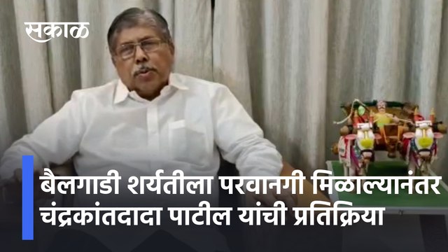 Bullock Cart Race News बैलगाडी शर्यतीला परवानगी मिळाल्यानंतर चंद्रकांतदादा पाटील यांची प्रतिक्रिया | Sakal Media
