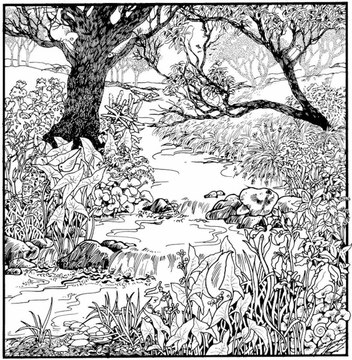 Vous avez 40 secondes pour trouver les 14 animaux cachés sur cette photo