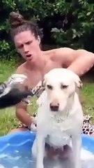 man vs monkey vs dog |#pets #monkey #dogs #man