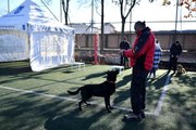 Son Dakika | Ankara İtfaiyesi arama kurtarma köpeklerinin başarısı kanıtlandı