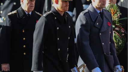 GALA VIDÉO - Ce jour douloureux où le prince Harry a senti « qu’il perdait son frère " William