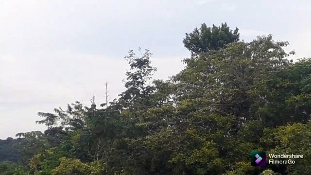 Airbus A330 PR-AIW vindo de Campinas,Boeing 737 MAX 8 PR-MMX vindo de Belém e Embraer 195 PR-AUQ vindo de Parintins