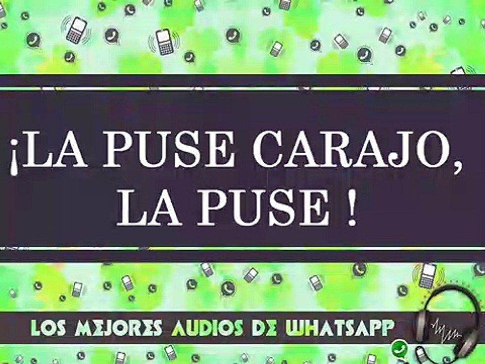 La puse carajo la puse! - Los mejores audios de Whatsapp