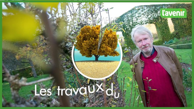 Travaux au jardin : quand planter des fruitiers
