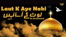 Laut k aye Nahi | Dr Ali Jamshed | Noha | Labaik Labaik
