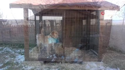 Erciş'te geri dönüşüm malzemeleri yatırıma dönüştürüldü