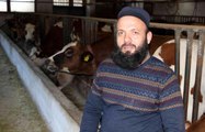 Genç çiftçi projesiyle hayvancılığa başladı, şimdi taleplere yetişemiyor5 yıl önce 5 inekle hayvancılığa başlayan Mustafa Akyüz, şuan 29 ineği ile...