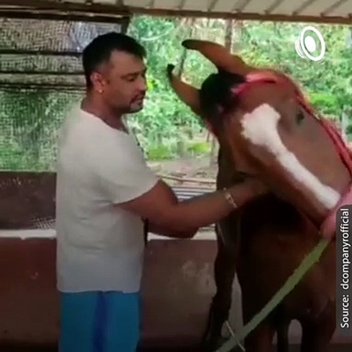 Sandalwood Actor Darshan Love Animals More than Human beings