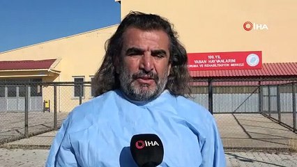 Felçli tilki, yürüteçle hayata tutundu