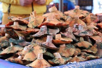 Zehirli mantar tüketildiğinde ilk saatte "kusturma" uyarısı