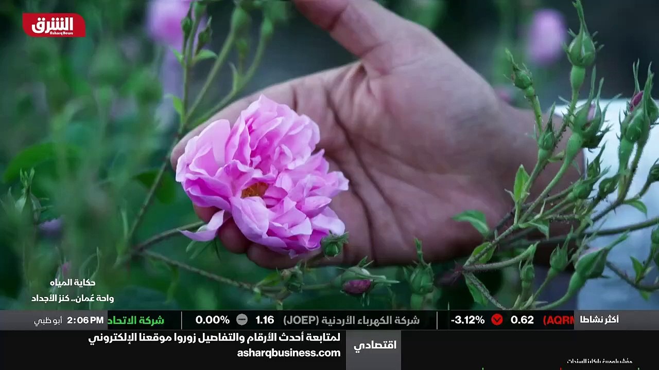 ...و قبل شروق الشمس متواجدين في...